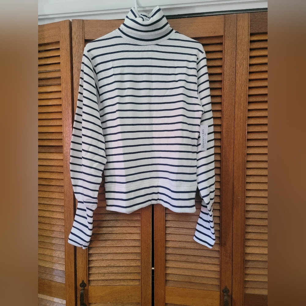Addison Bay While and navy blue striped turtle neck